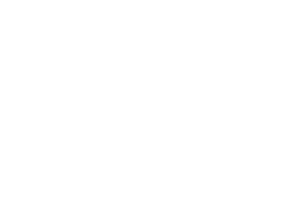 gallery/logo_steg
