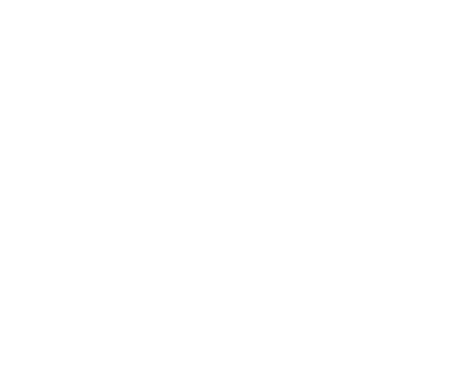 gallery/logo_steg